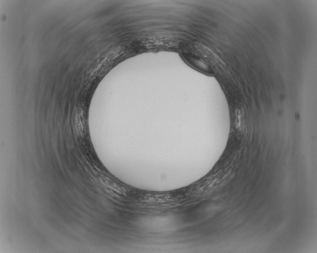 X0000062870915200602031713