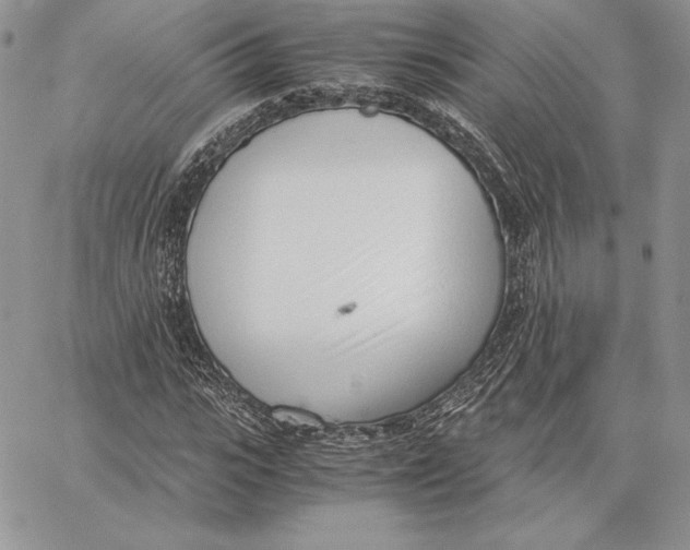 X0000062870919200602031713