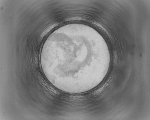 X0000062870921200602031713