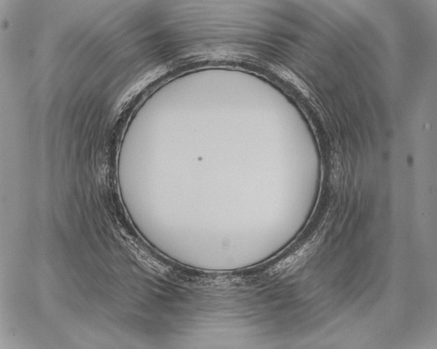 X0000062870922200602031713