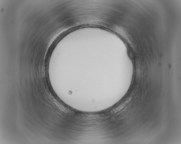 X0000062870924200602031713