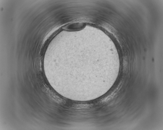 X0000062870925200602031713