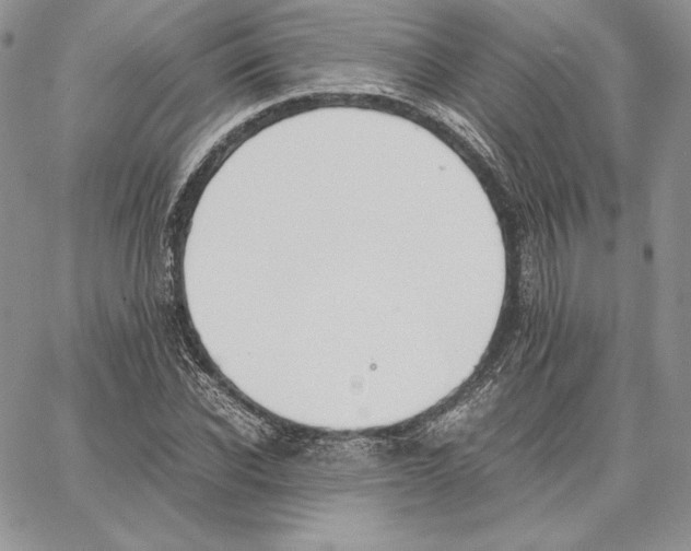 X0000062870926200602031713