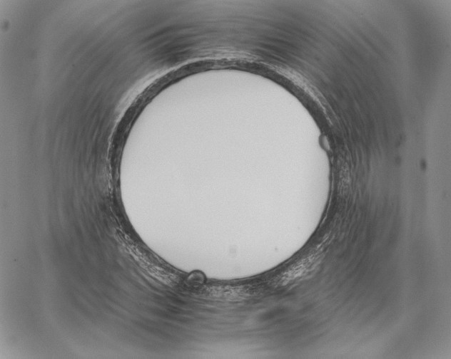 X0000062870927200602031713