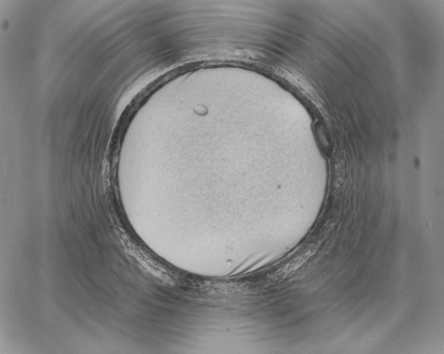 X0000062870928200602031713