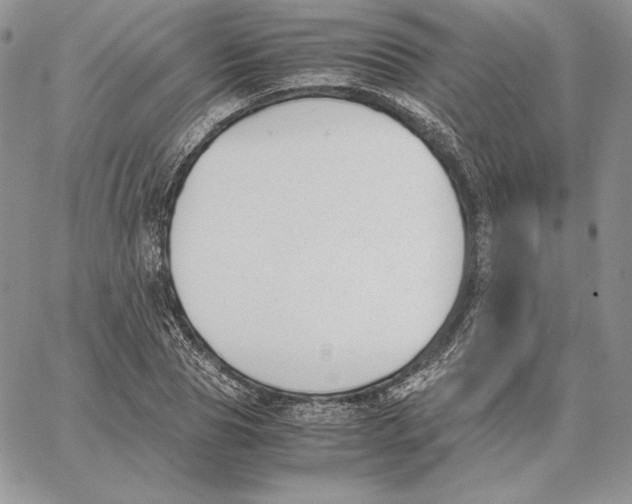 X0000062870929200602031713