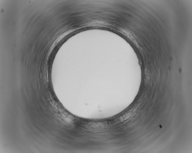 X0000062870931200602031713