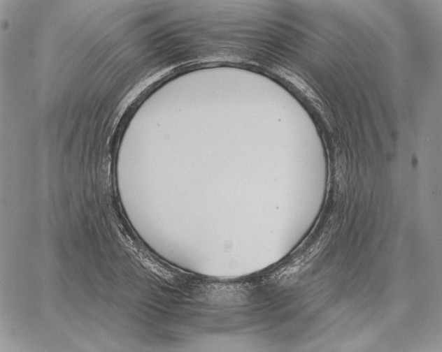 X0000062870933200602031713