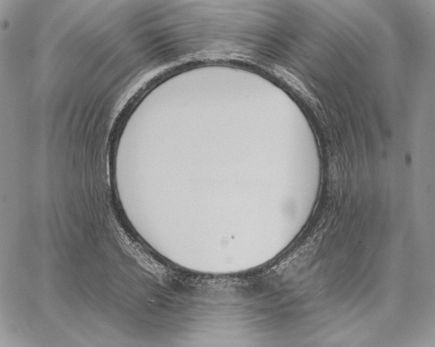 X0000062870934200602031713