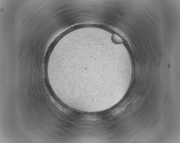 X0000062870935200602031713