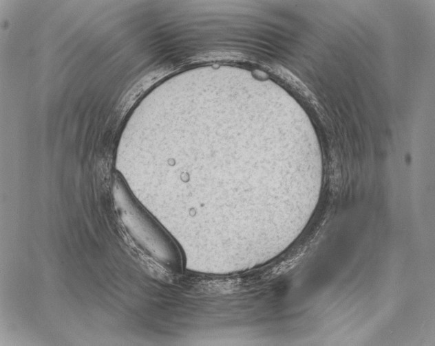 X0000062870937200602031713