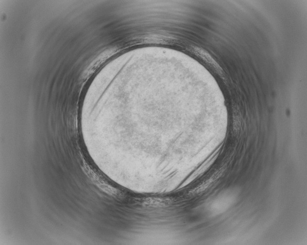 X0000062870938200602031713