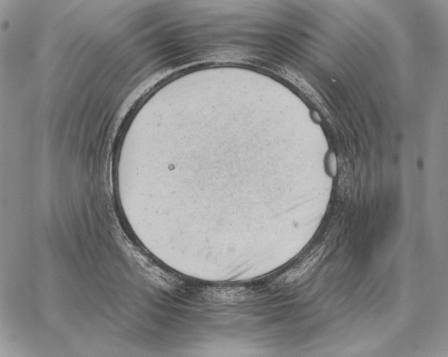 X0000062870939200602031713