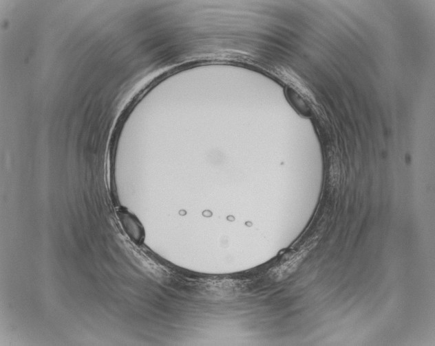 X0000062870940200602031713