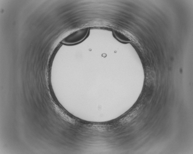 X0000062870942200602031713