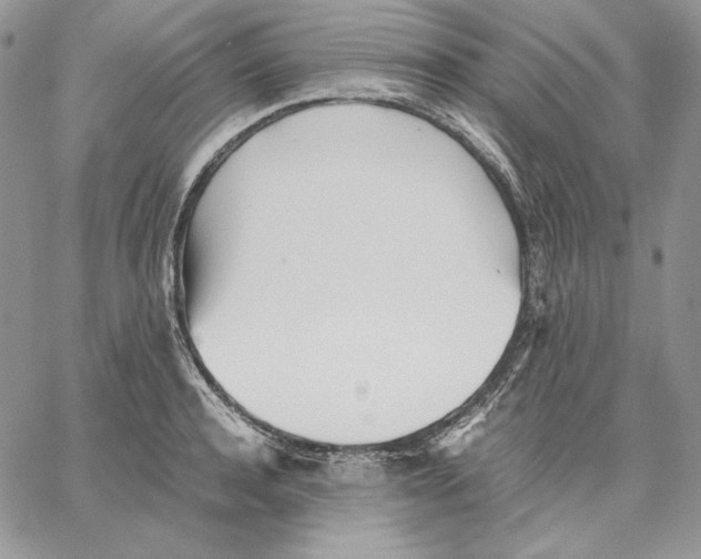 X0000062870944200602031713