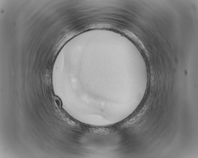 X0000062870945200602031713