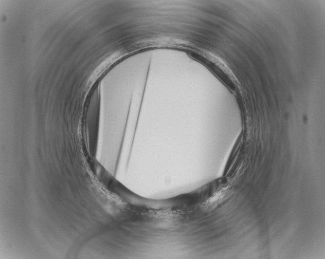 X0000062870946200602031713