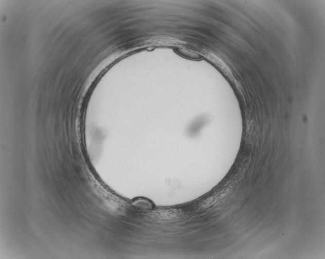 X0000062870947200602031713