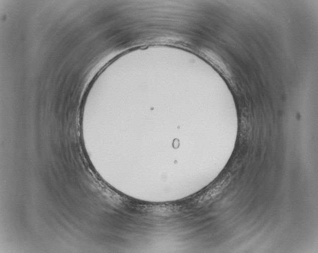 X0000062870948200602031713