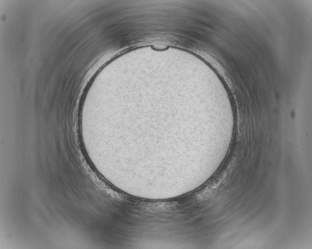 X0000062870949200602031713