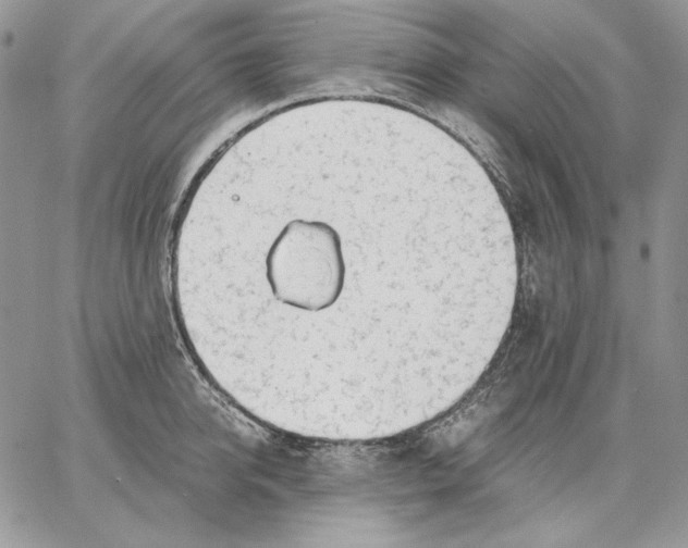 X0000062870950200602031713