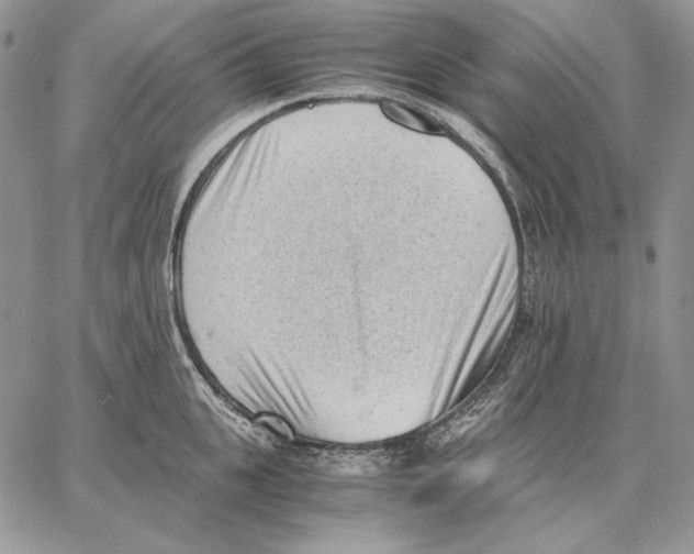 X0000062870951200602031713