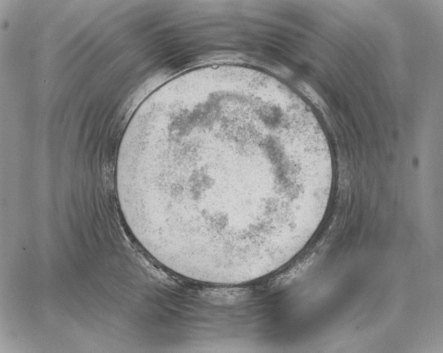 X0000062870953200602031713