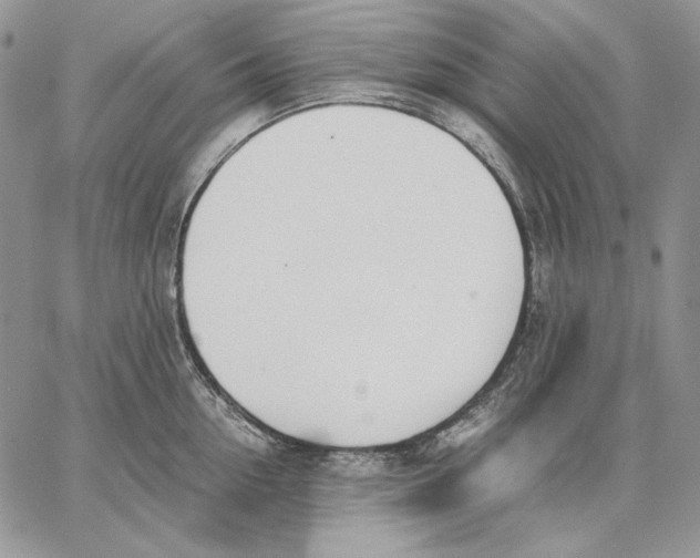 X0000062870954200602031713