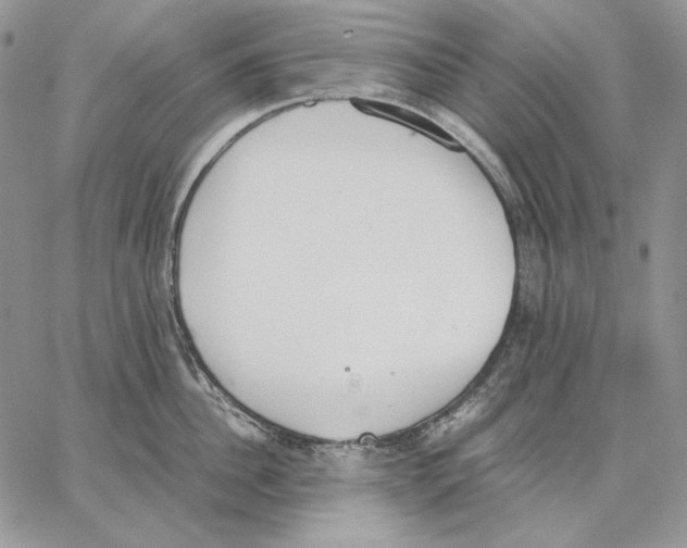 X0000062870956200602031713