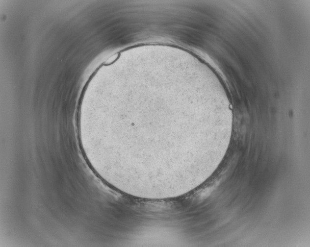 X0000062870959200602031713