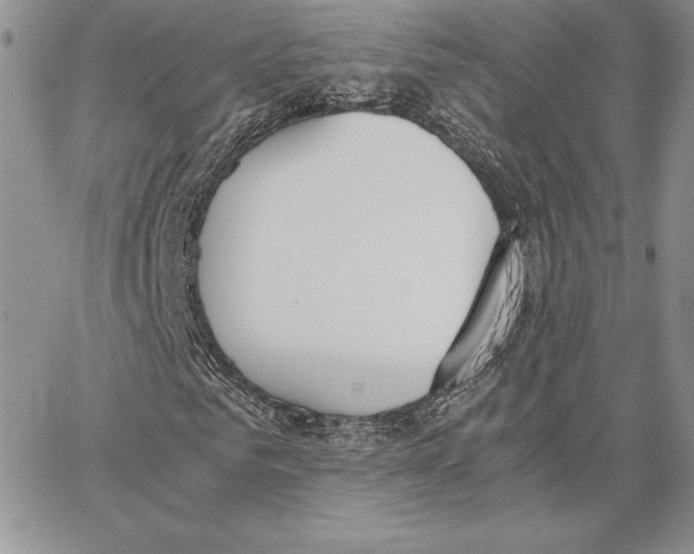 X0000062870961200602031713