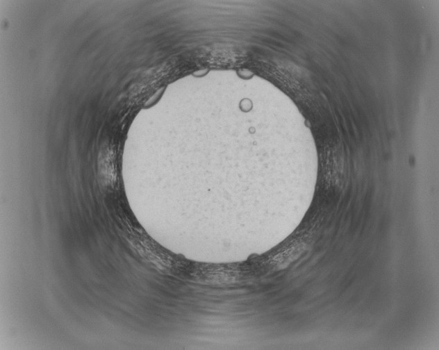 X0000062870962200602031713