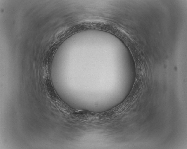 X0000062870965200602031713