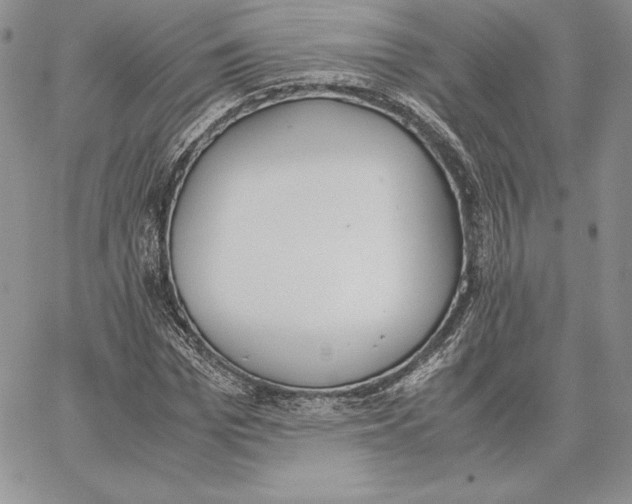 X0000062870969200602031713