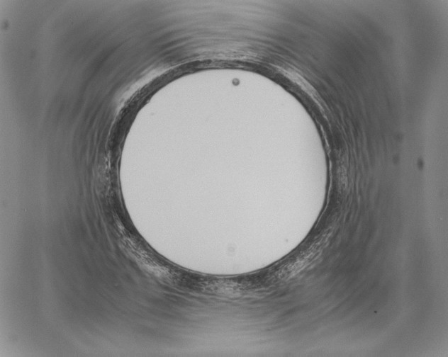 X0000062870971200602031712