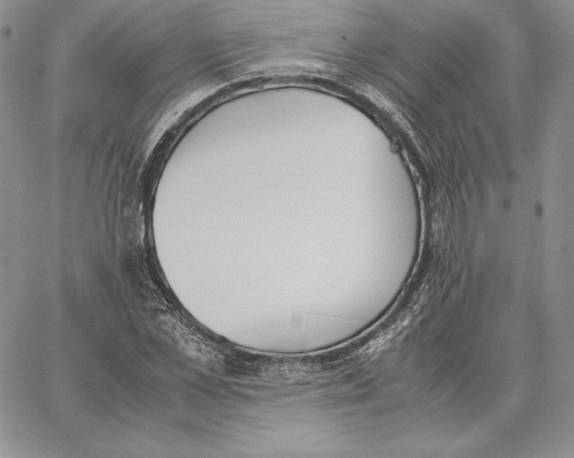 X0000062870973200602031712