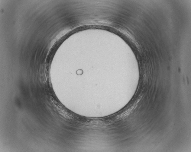 X0000062870974200602031712