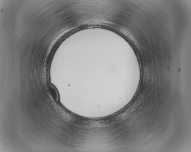 X0000062870976200602031712