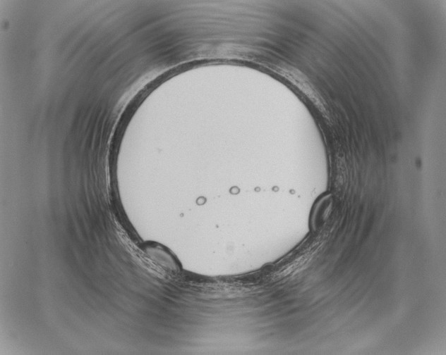 X0000062870980200602031712