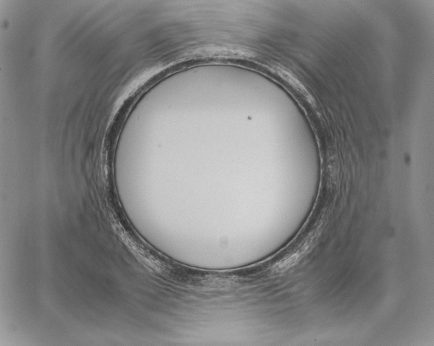 X0000062870981200602031712