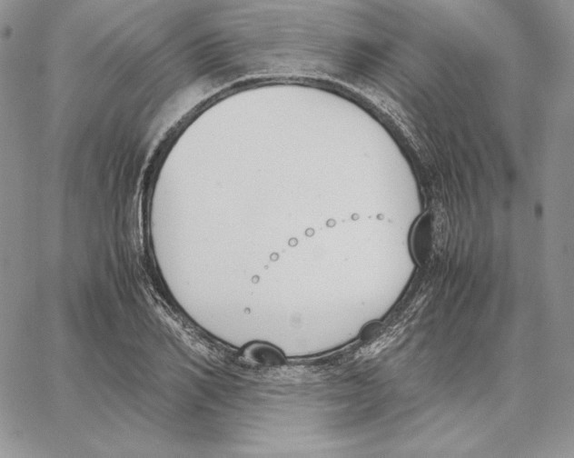 X0000062870982200602031712