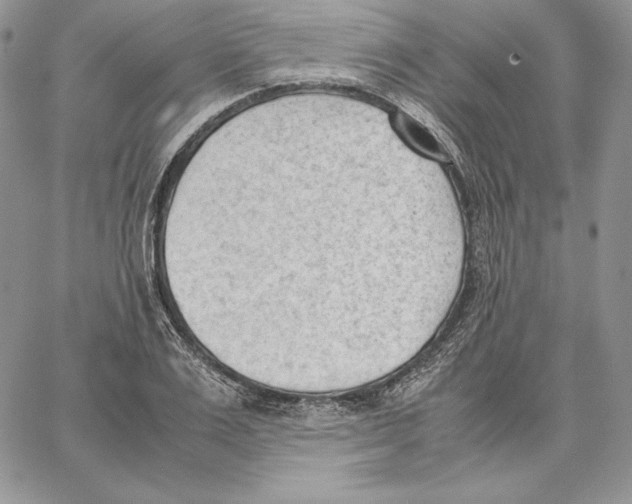 X0000062870983200602031712