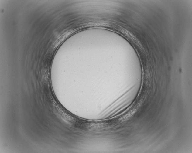 X0000062870985200602031712