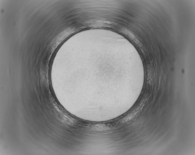 X0000062870986200602031712