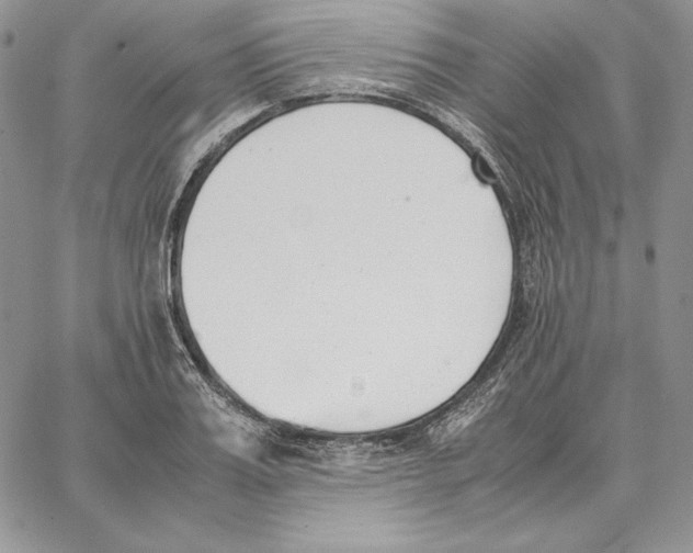 X0000062870987200602031712