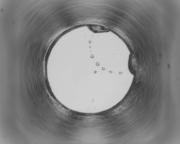 X0000062870988200602031712