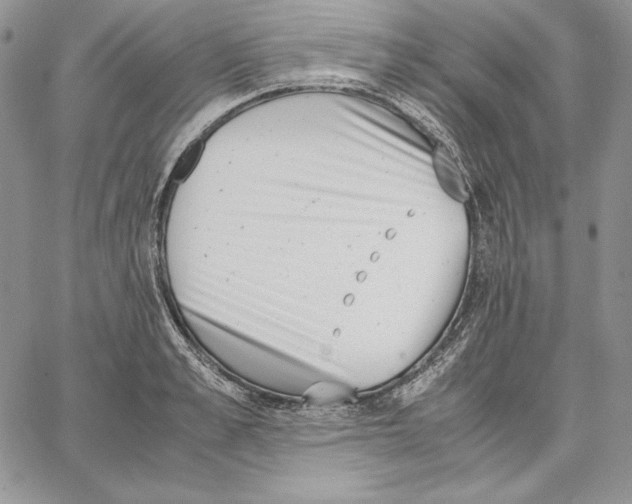 X0000062870989200602031712