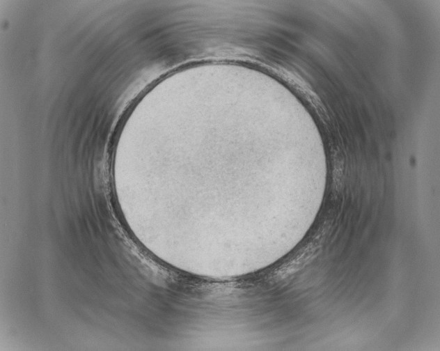 X0000062870990200602031712