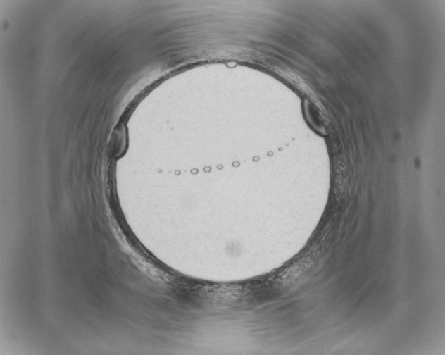 X0000062870991200602031712